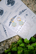 Médaille Rayé